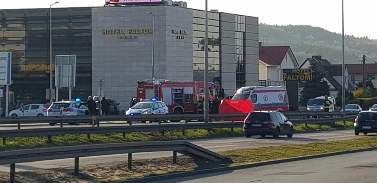 Zdjęcie