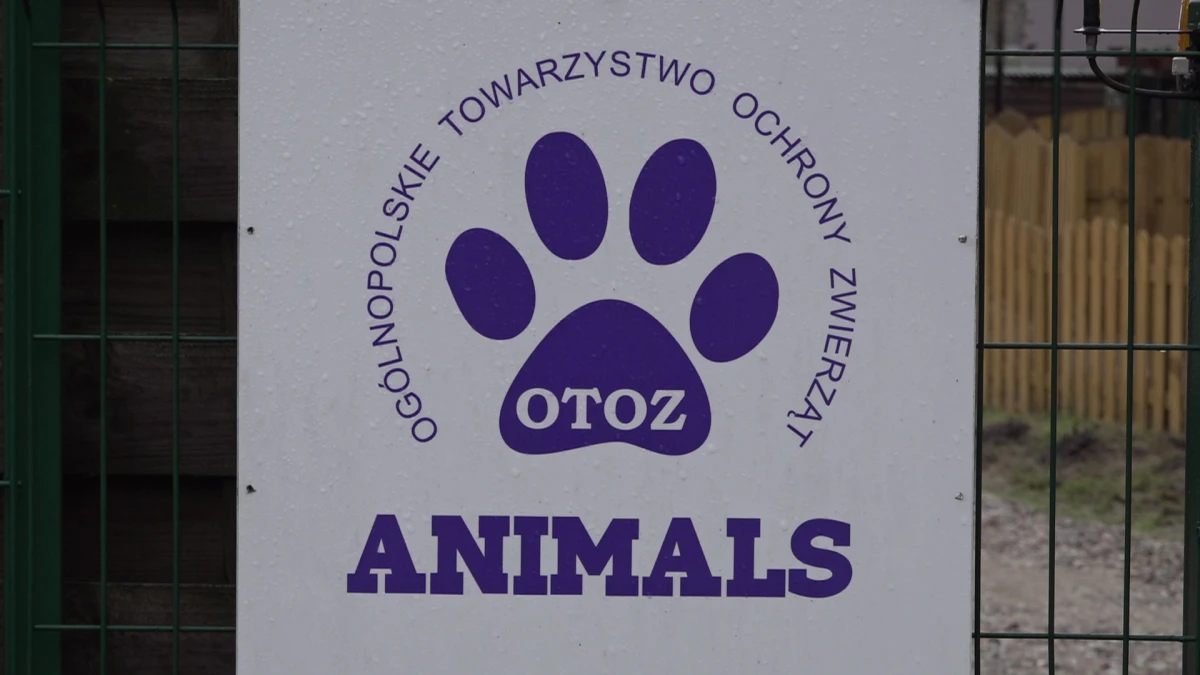 Zdjęcie