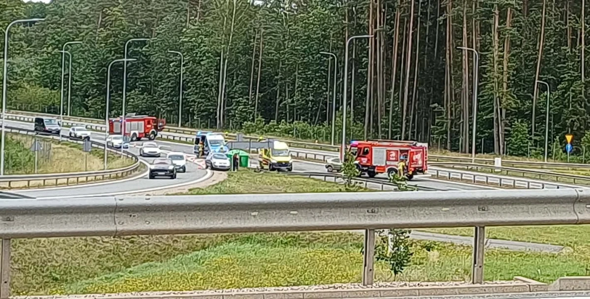 Zdjęcie