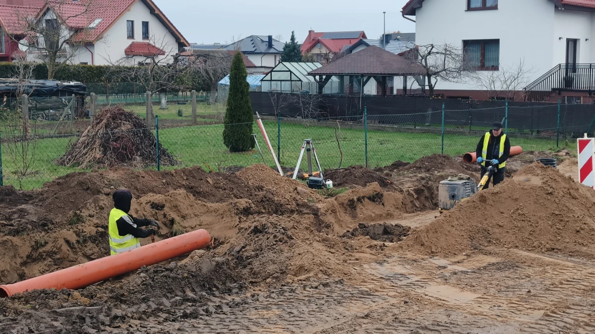 Zdjęcie