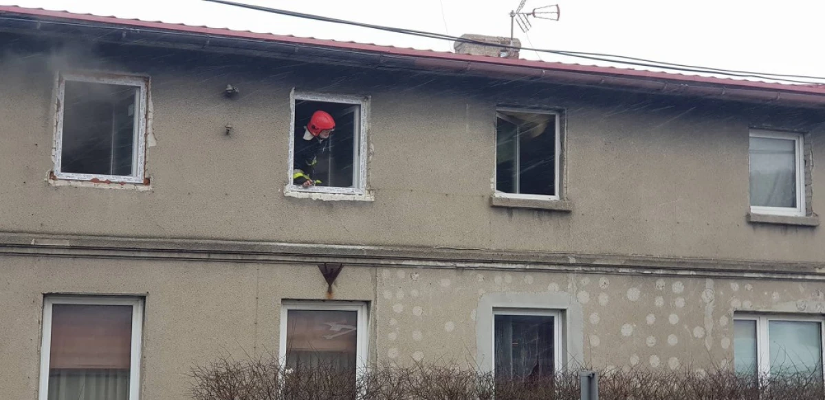 Zdjęcie