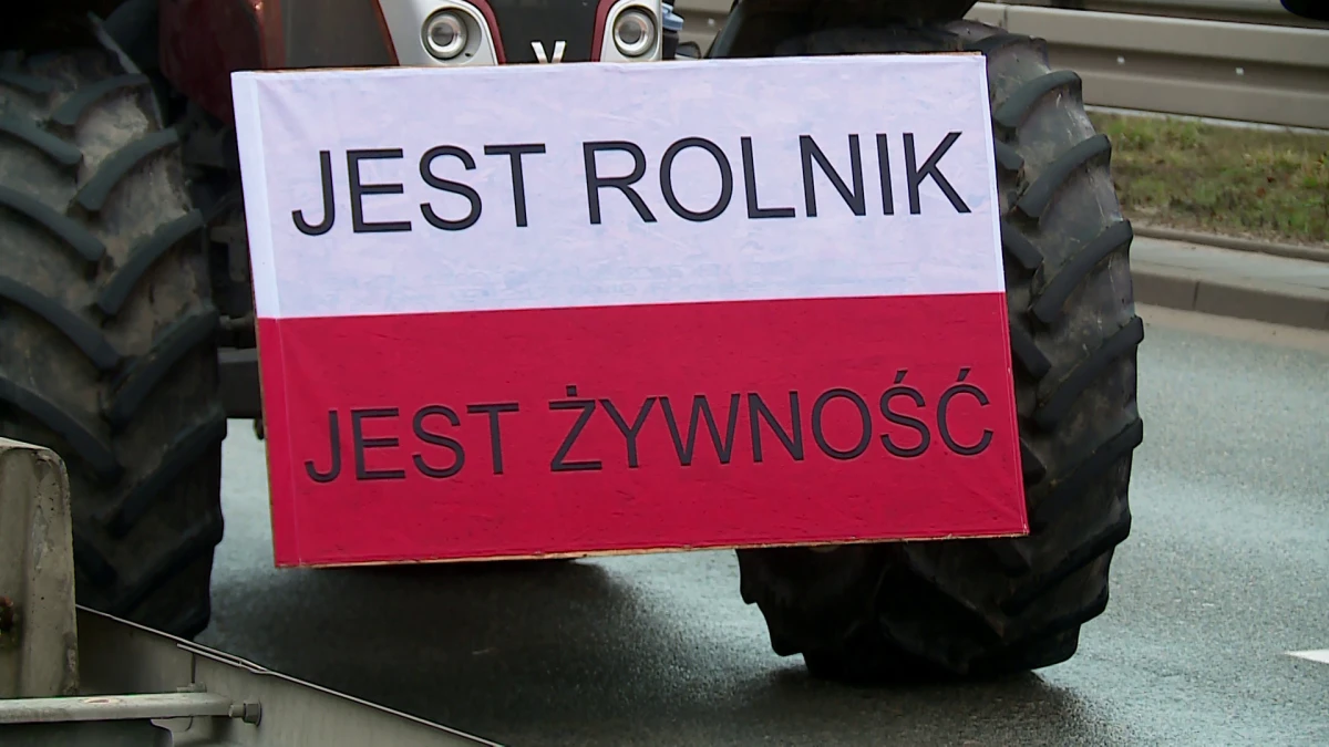 Zdjęcie
