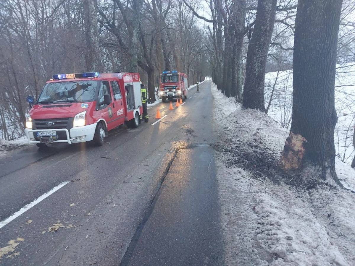 Zdjęcie