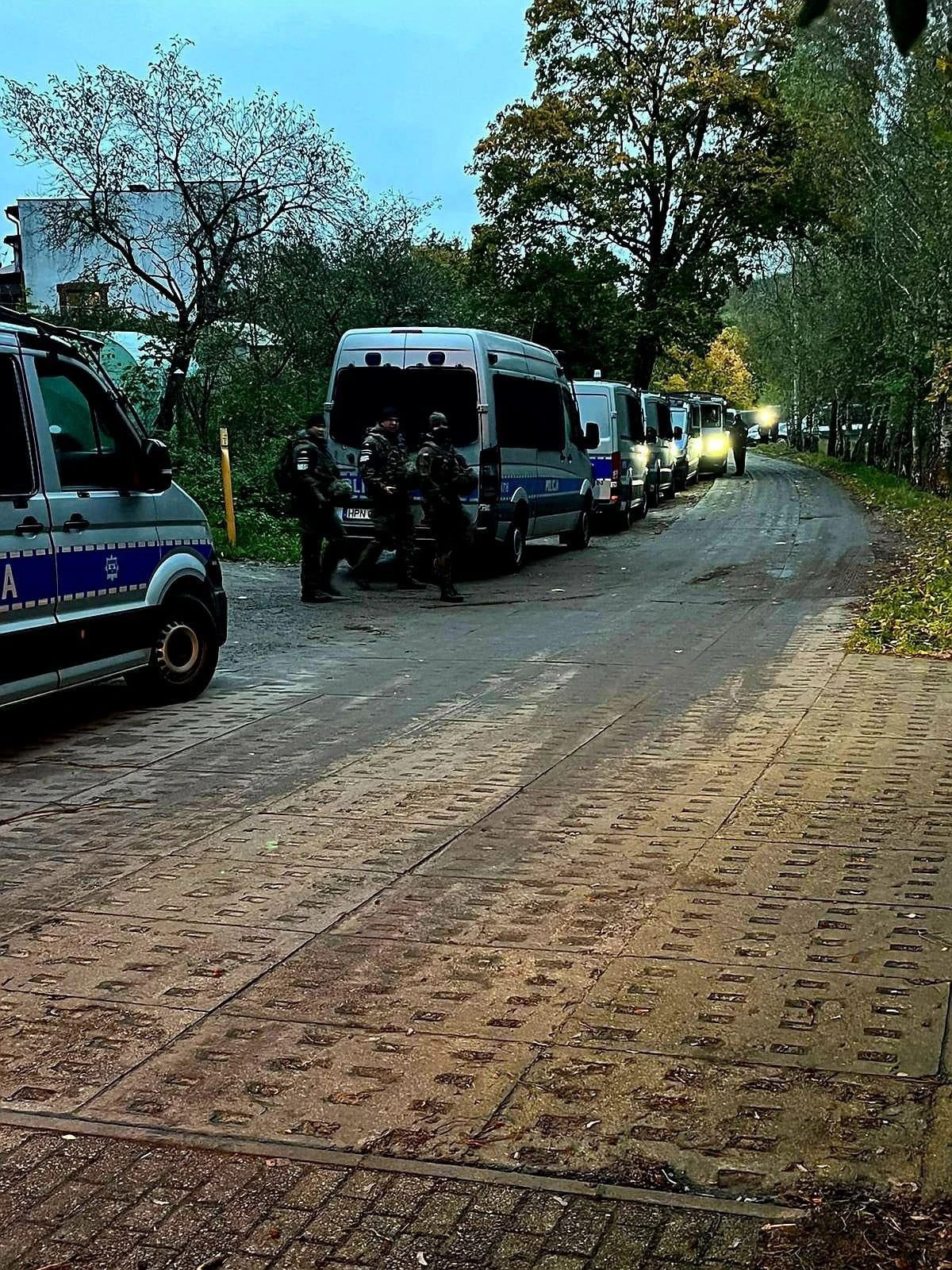 Zdjęcie