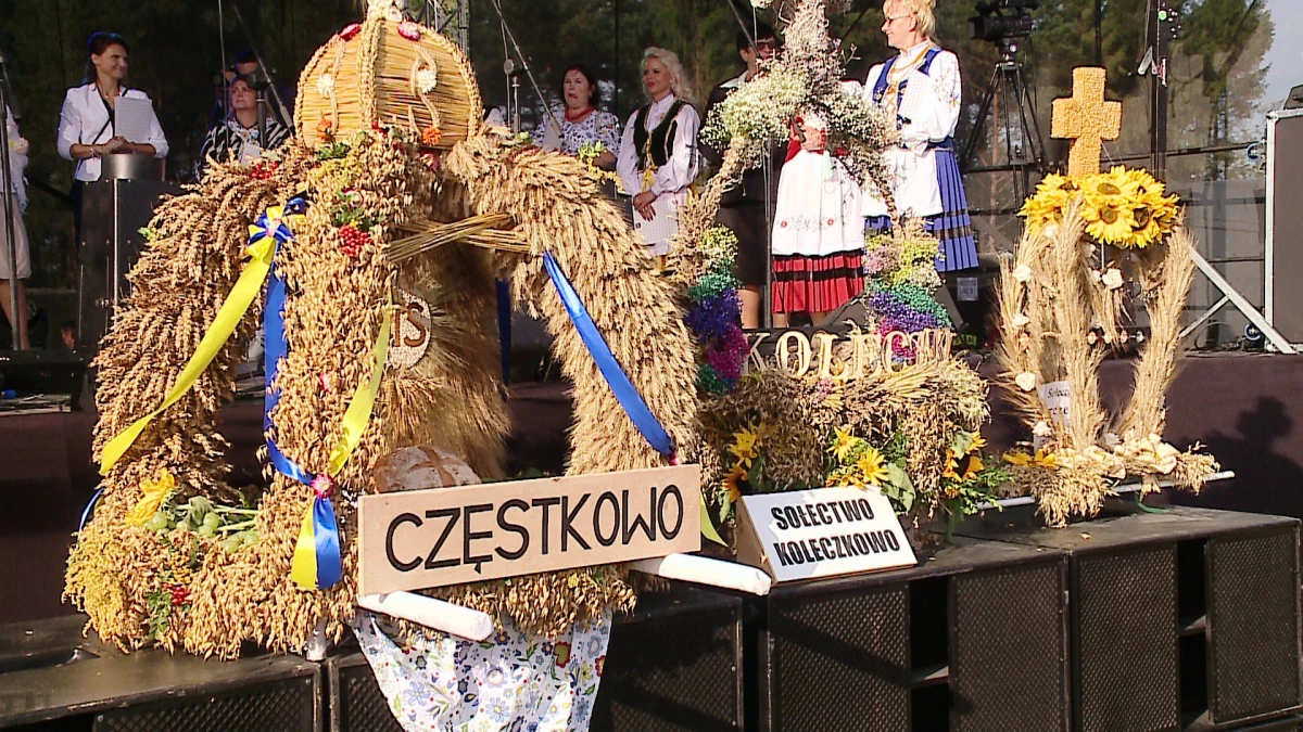 Zdjęcie