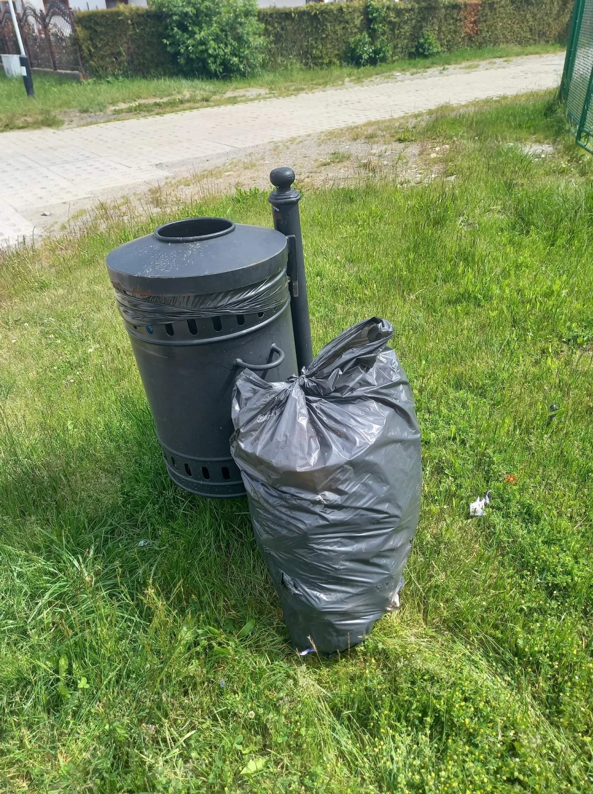 Zdjęcie