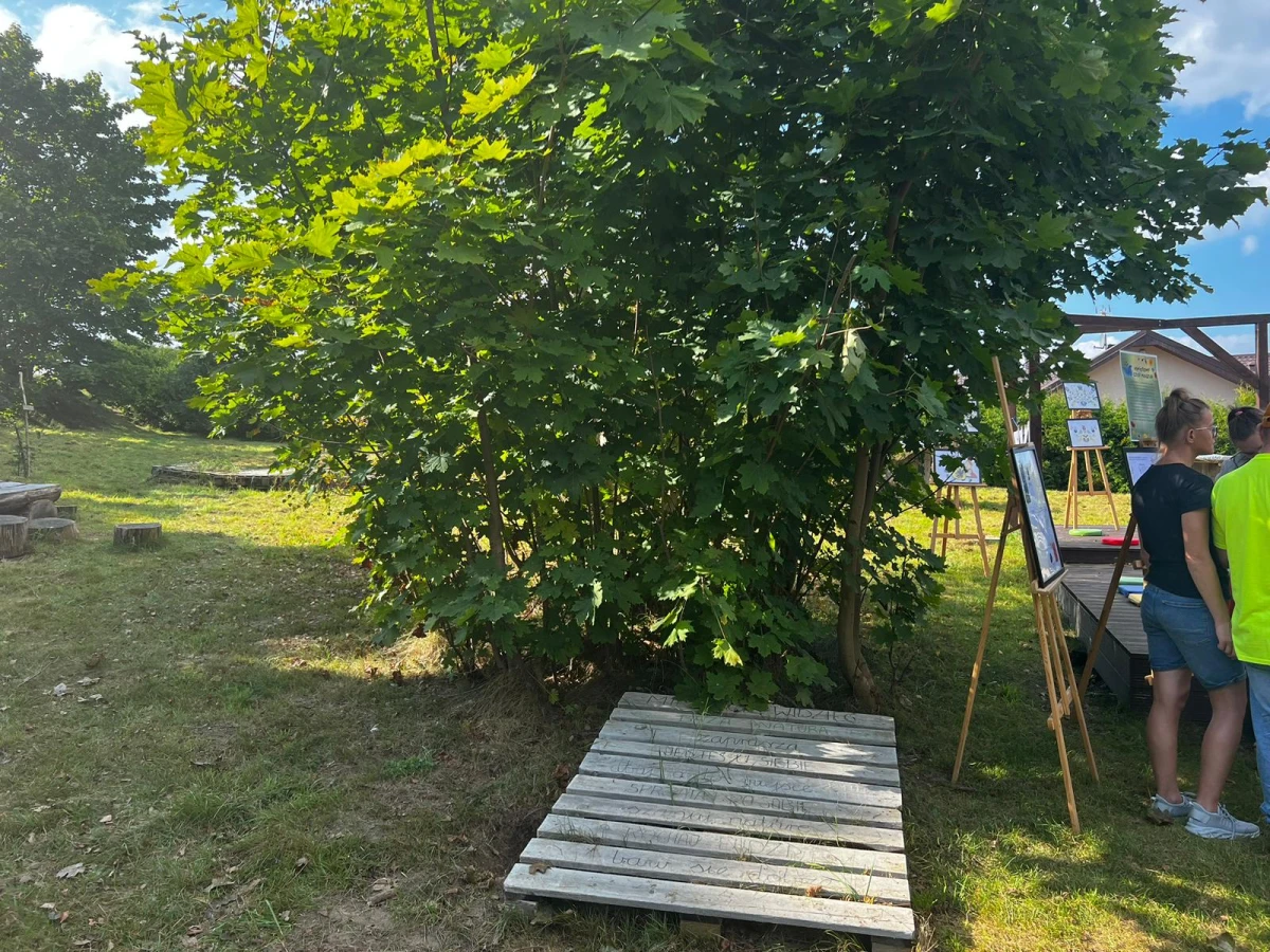 Zdjęcie
