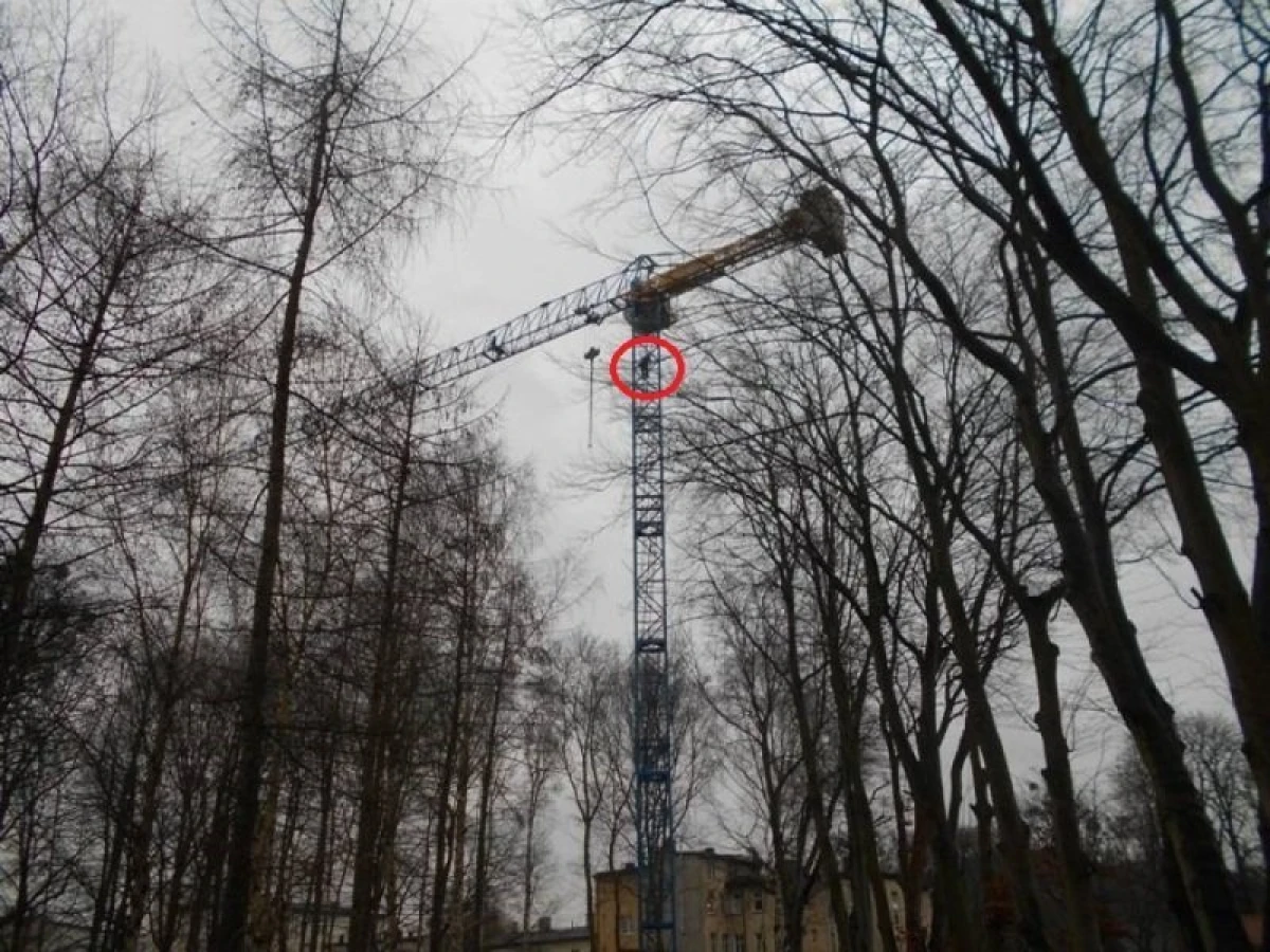 Zdjęcie
