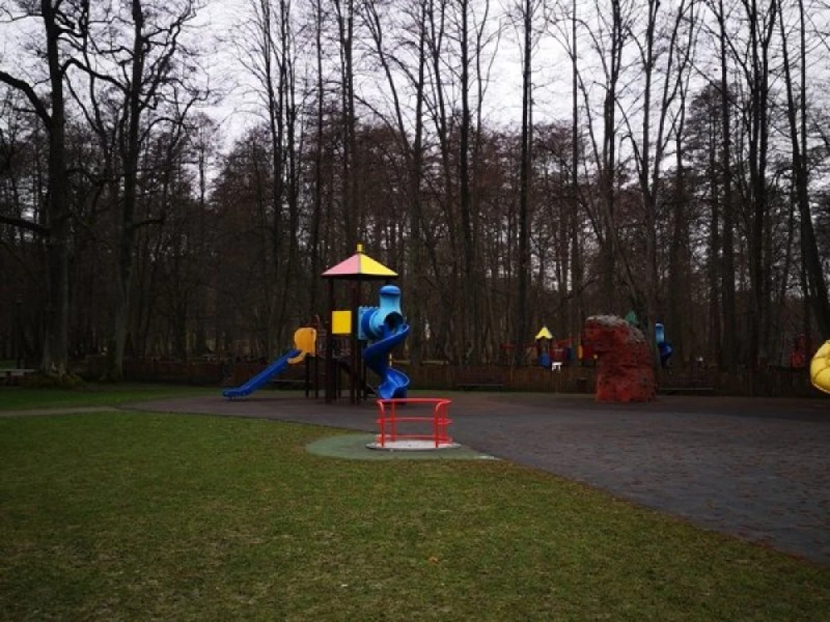 Zdjęcie