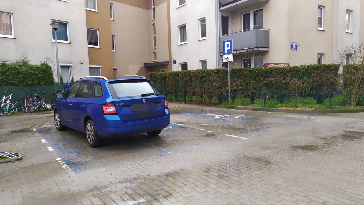 Zdjęcie