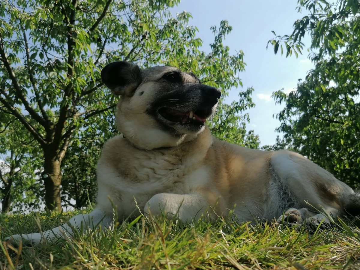 Zdjęcie