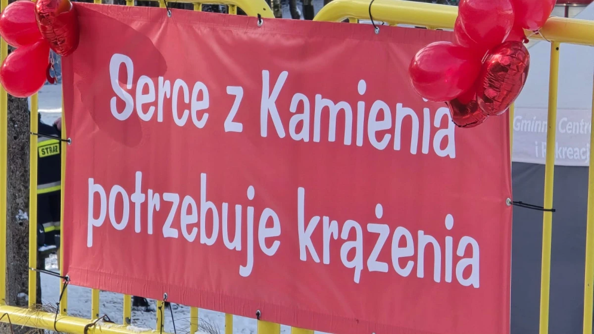 Zdjęcie