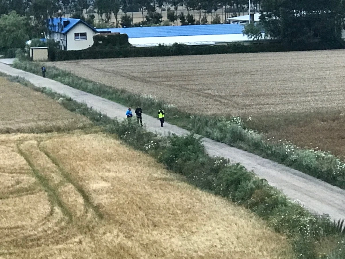 Zdjęcie