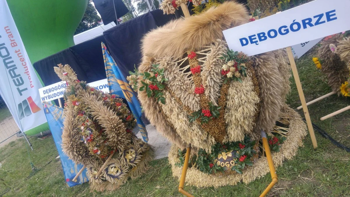Zdjęcie