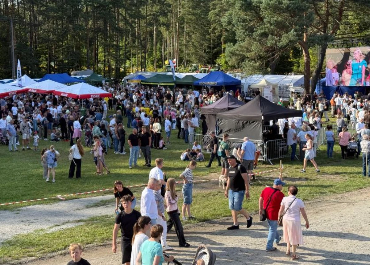 Zdjęcie