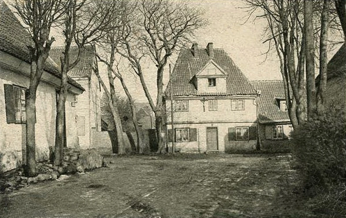 Zdjęcie