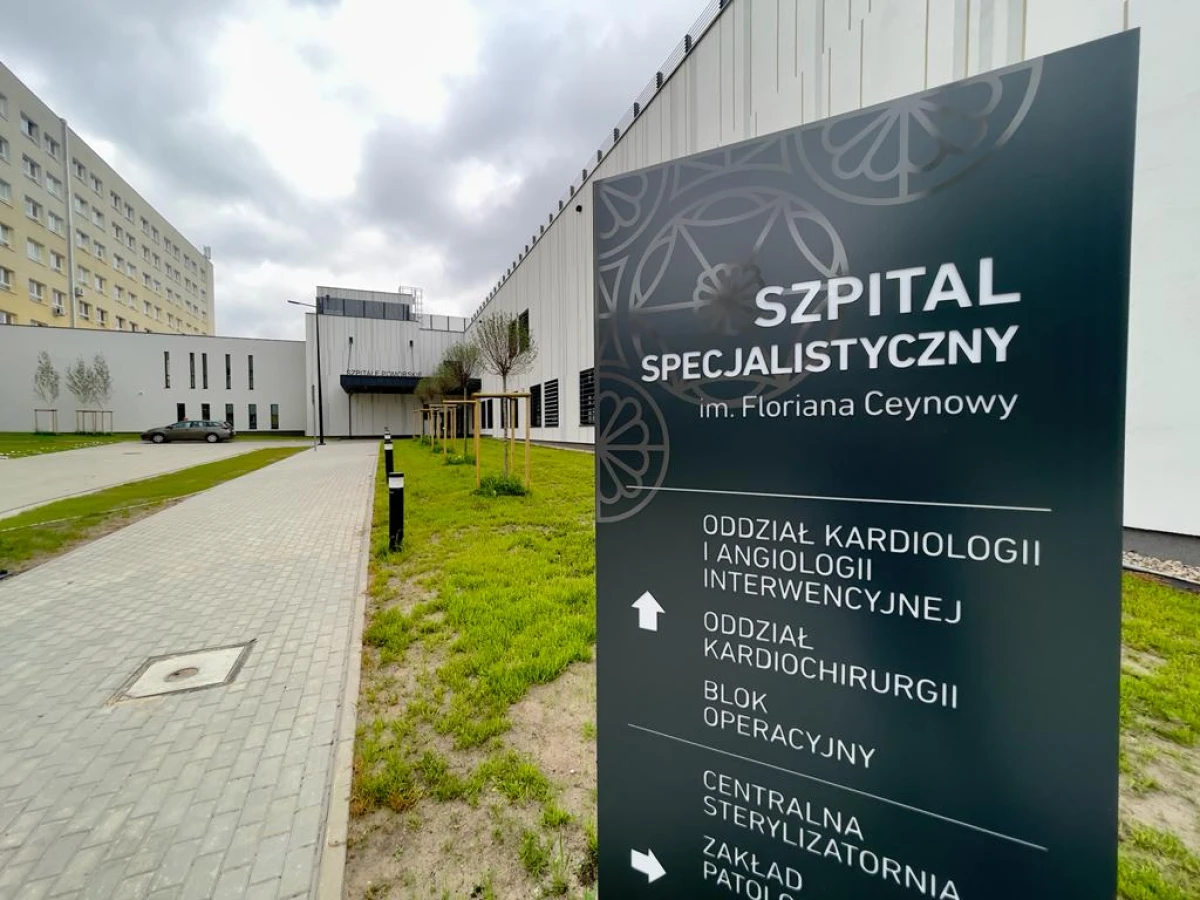 Zdjęcie