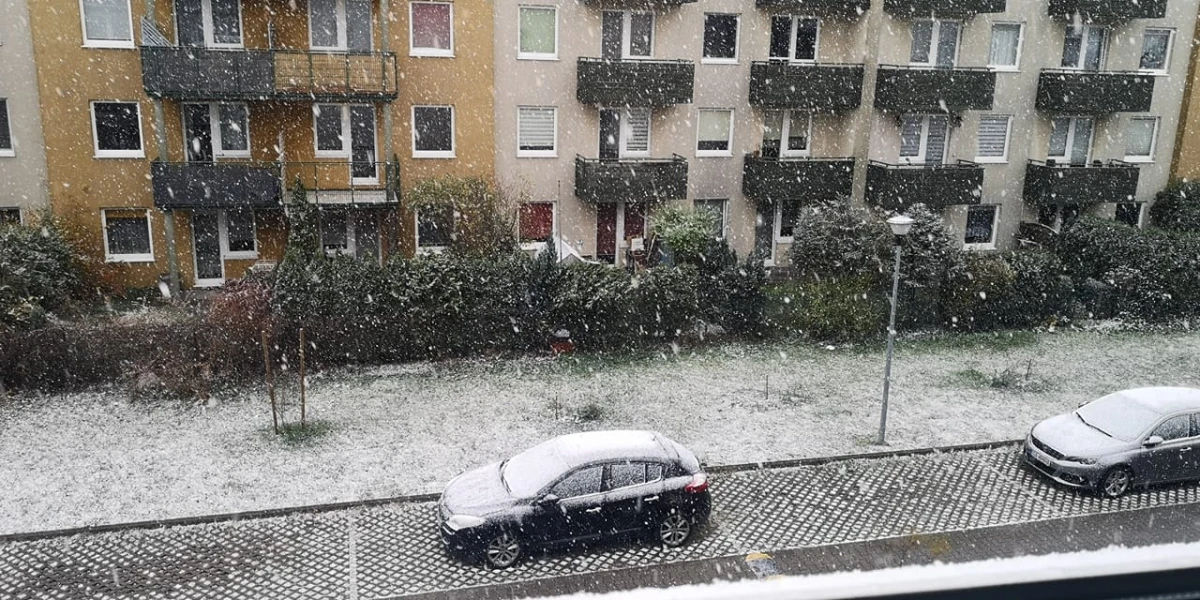 Zdjęcie