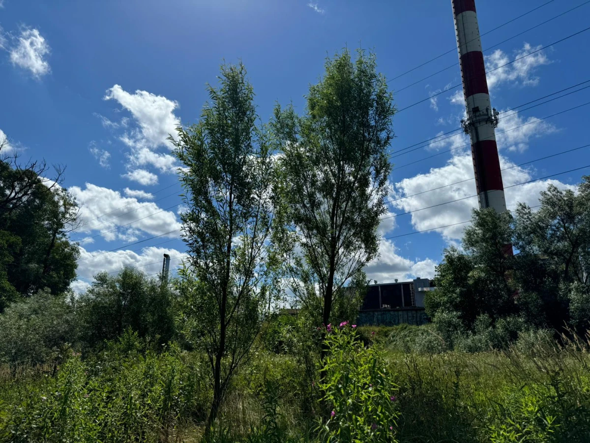 Zdjęcie