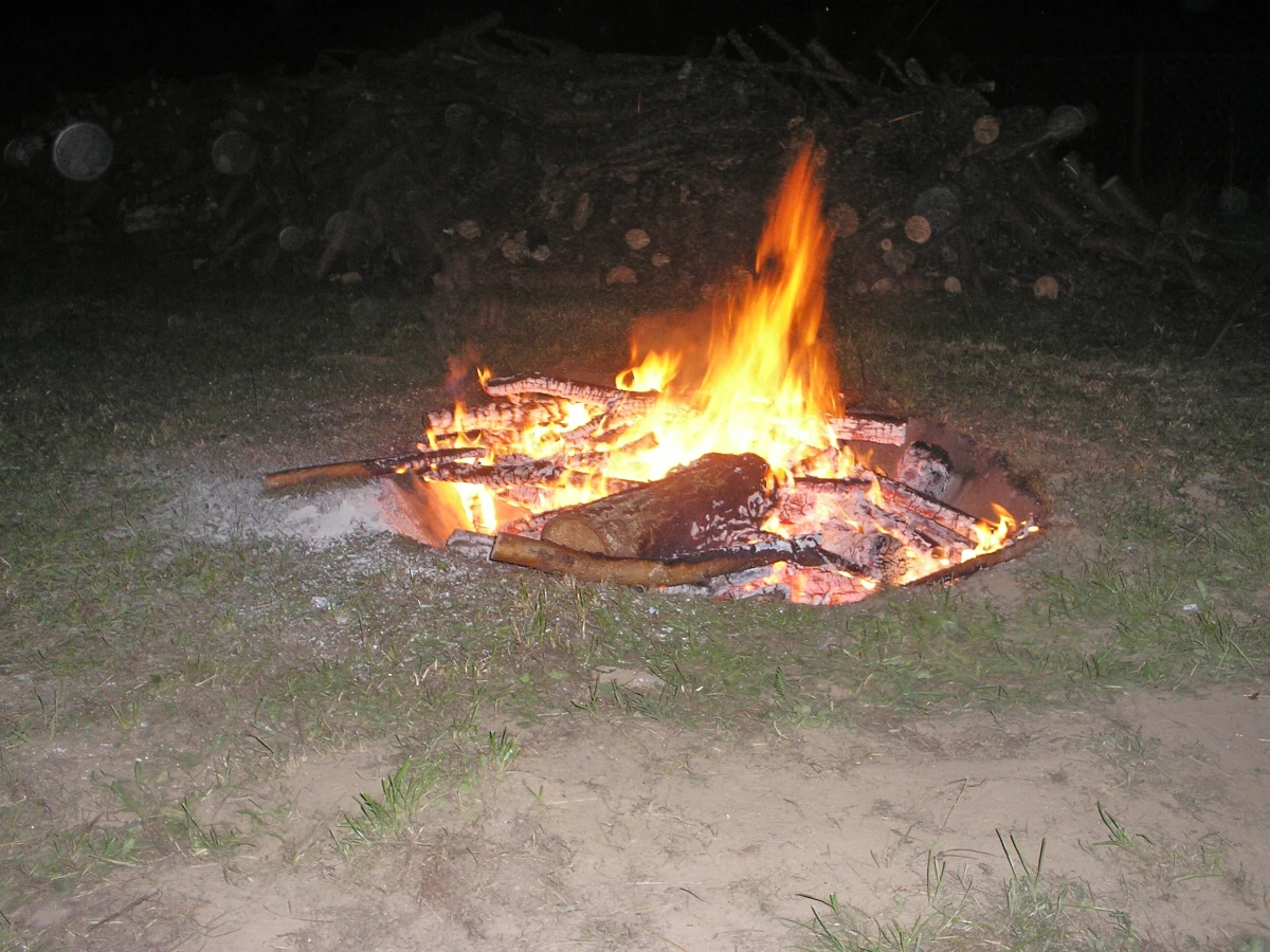 Zdjęcie