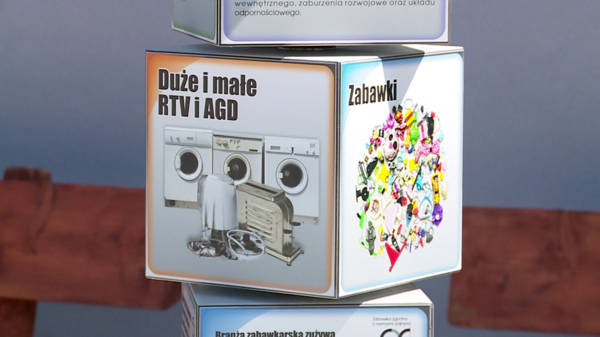 Zdjęcie