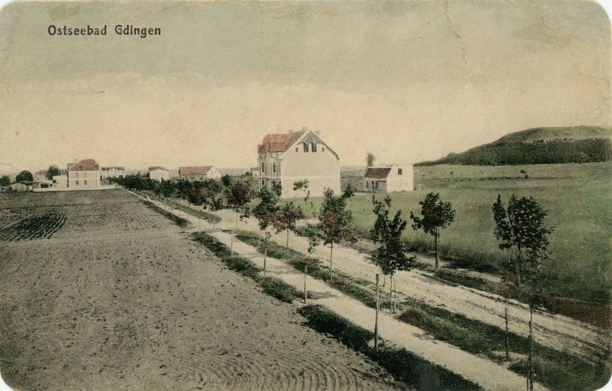 Zdjęcie