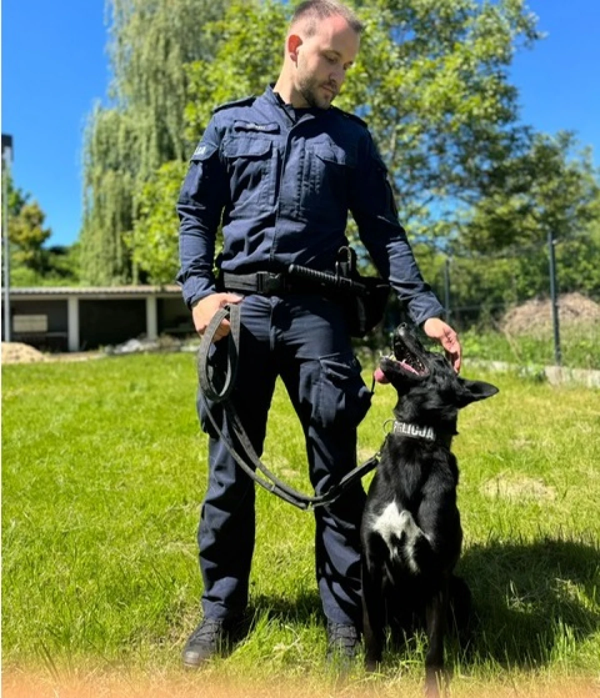 Zdjęcie