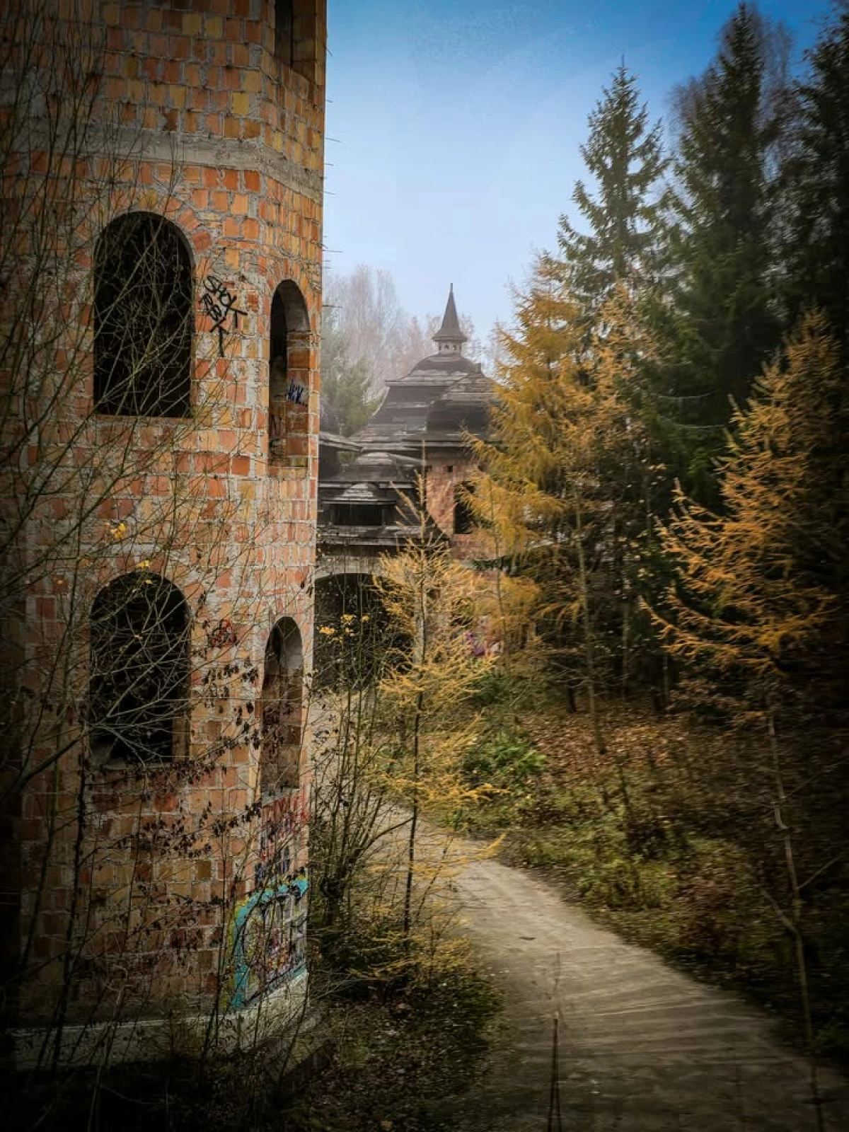 Zdjęcie