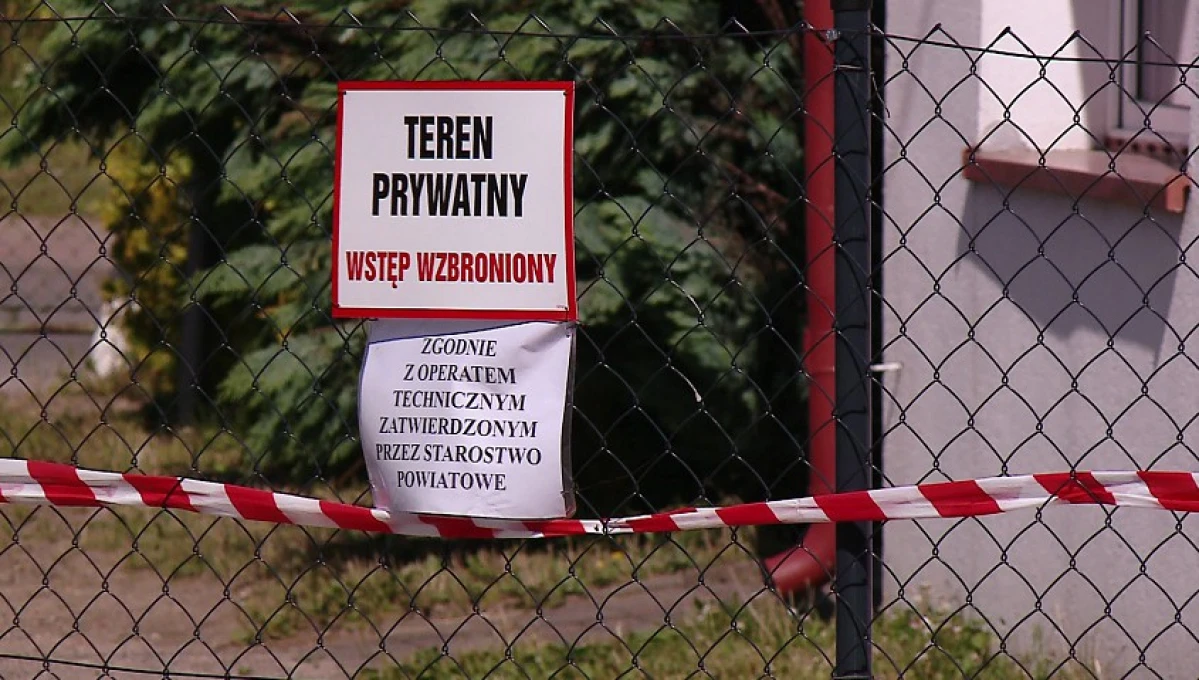 Zdjęcie