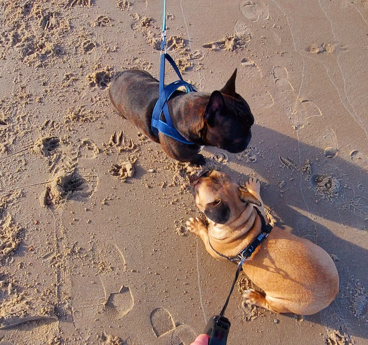Zdjęcie