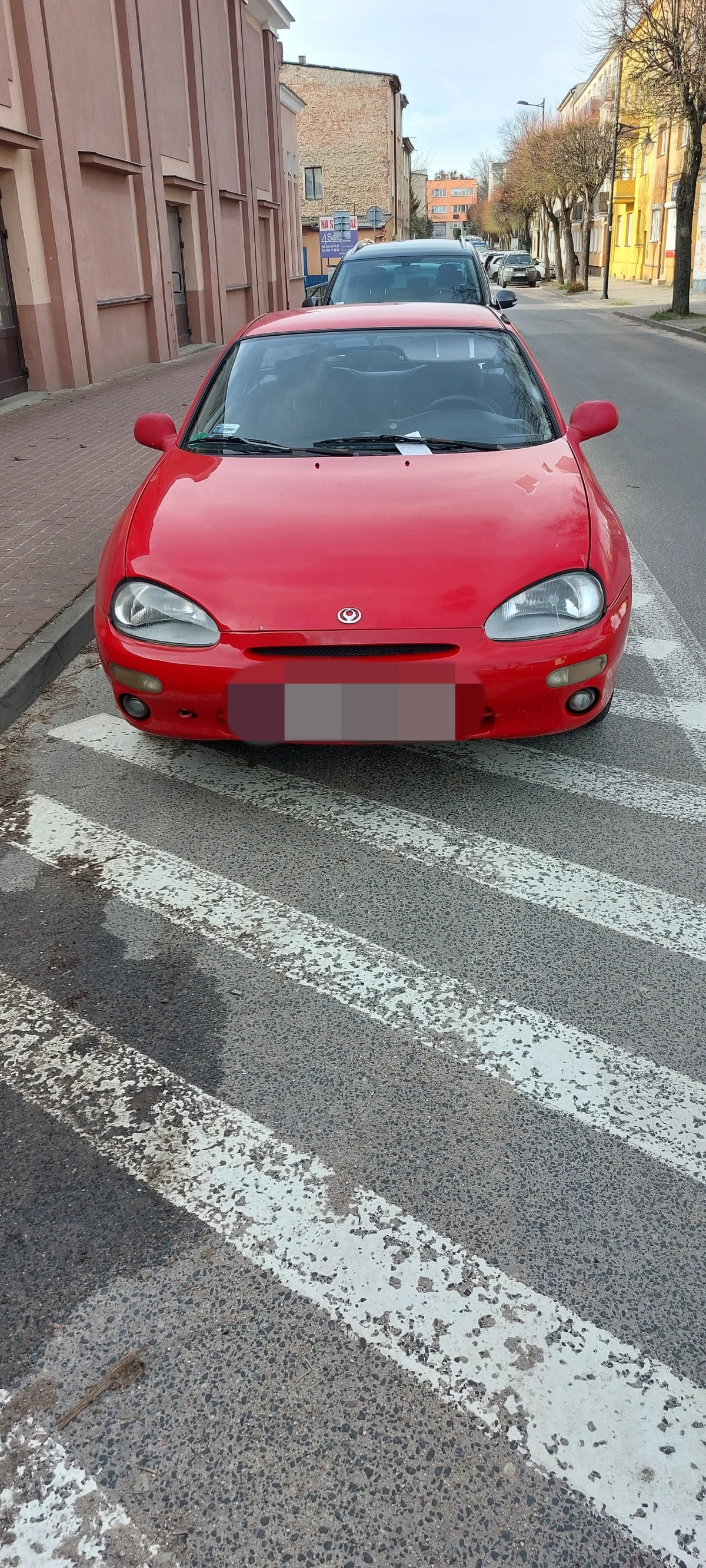 Zdjęcie