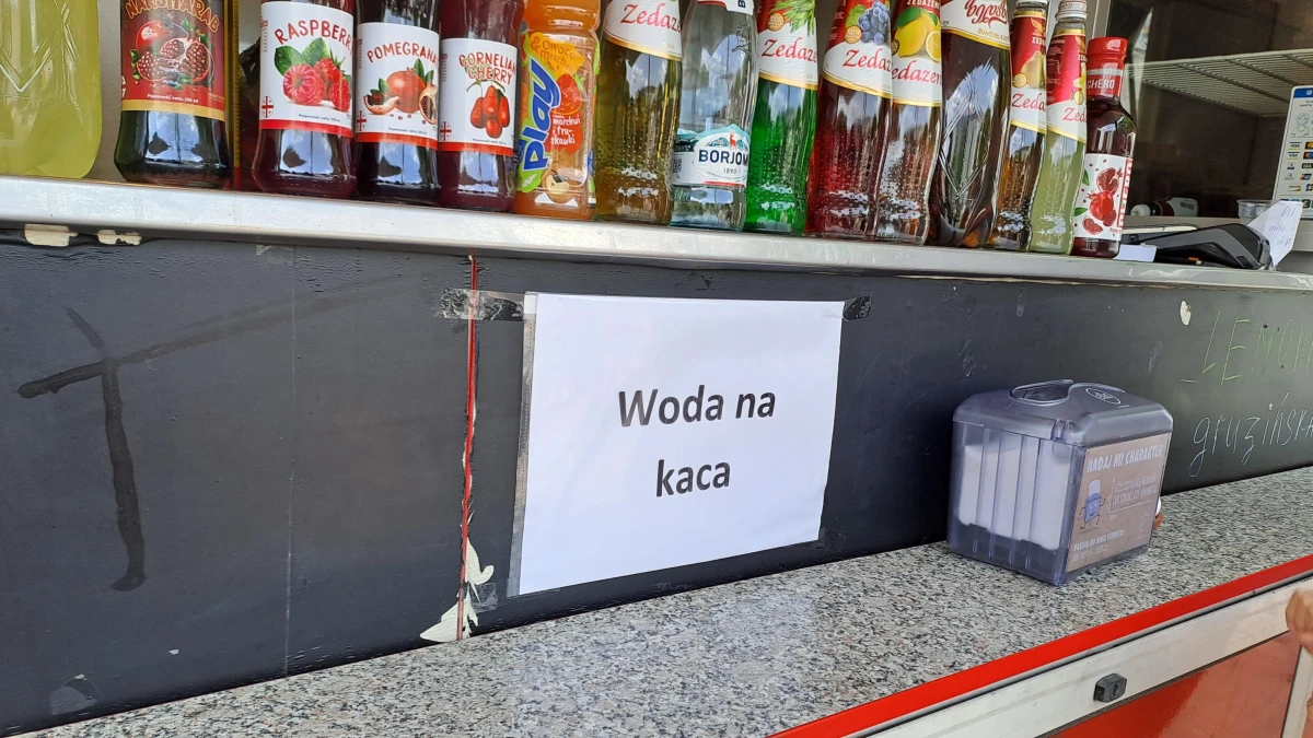 Zdjęcie