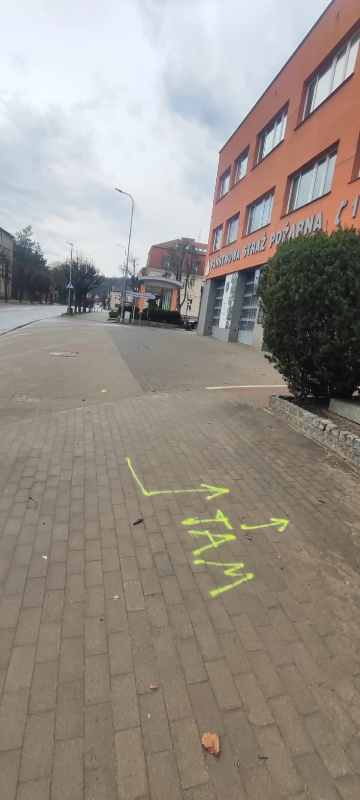 Zdjęcie