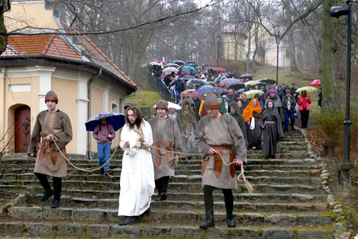 Zdjęcie