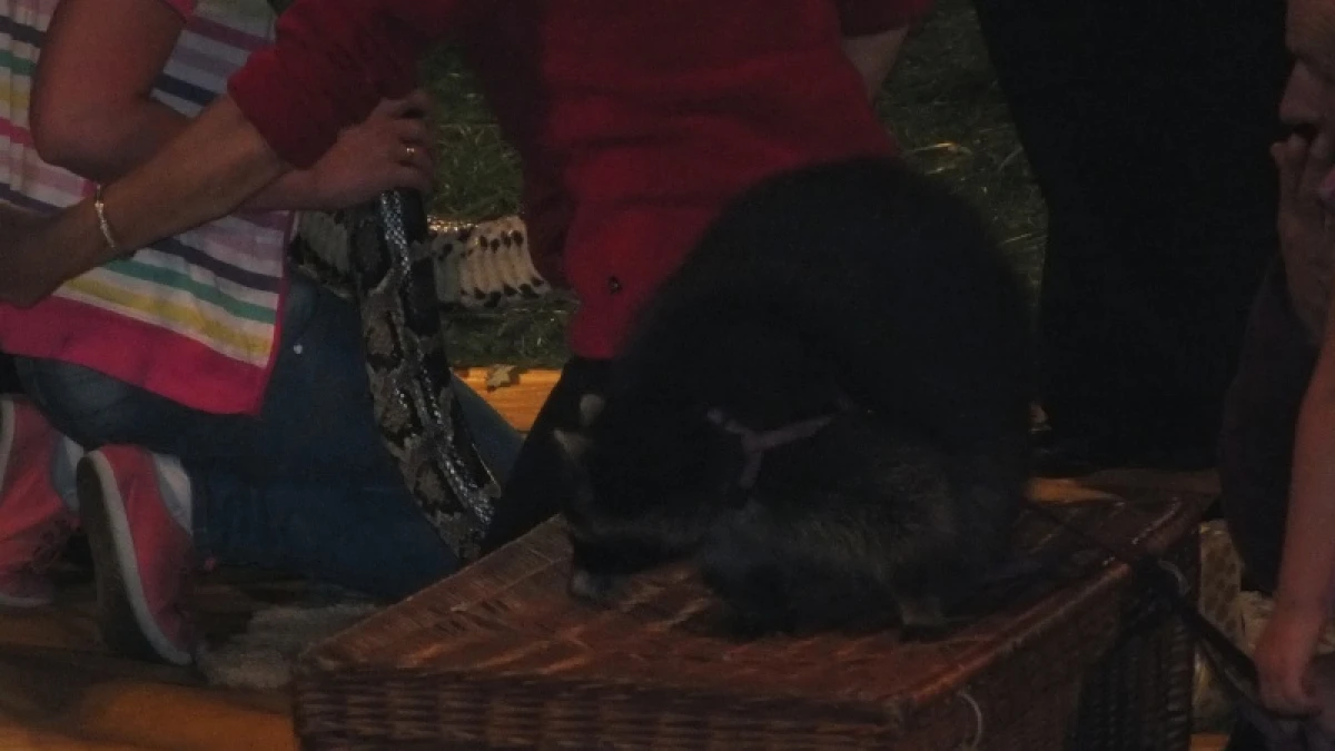 Zdjęcie