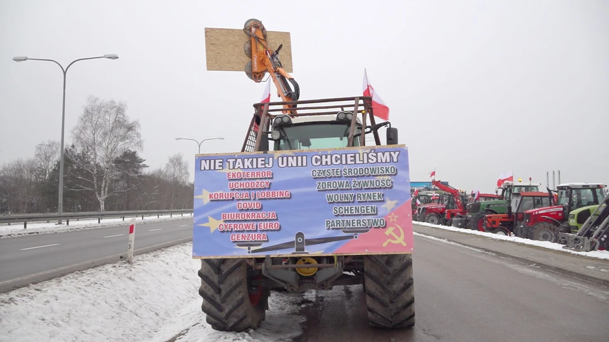 Zdjęcie