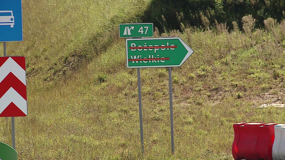Zdjęcie