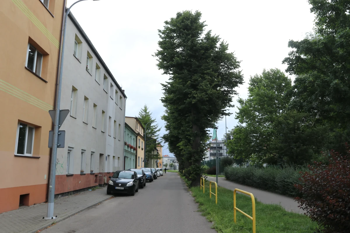 Zdjęcie