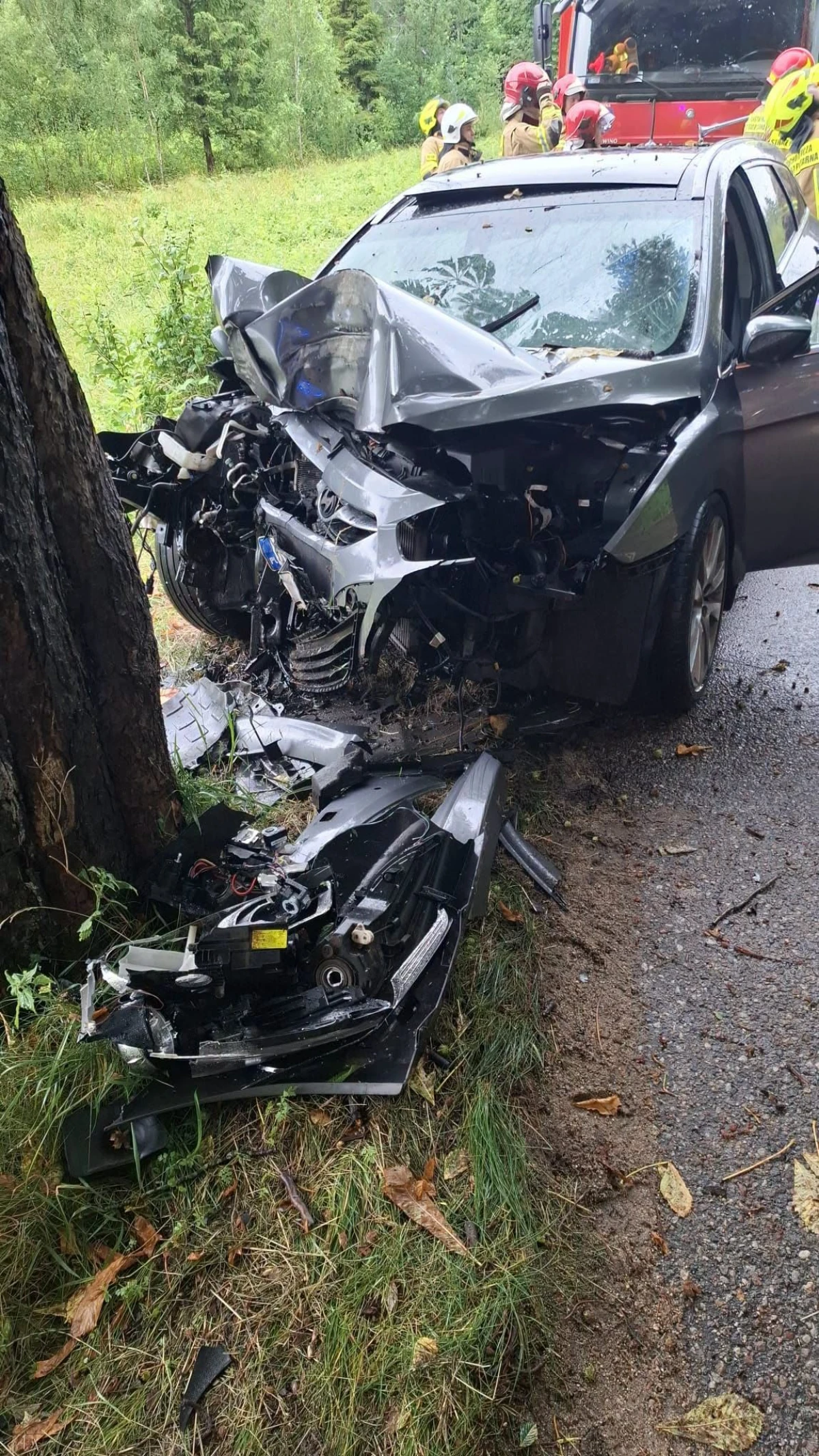 Zdjęcie