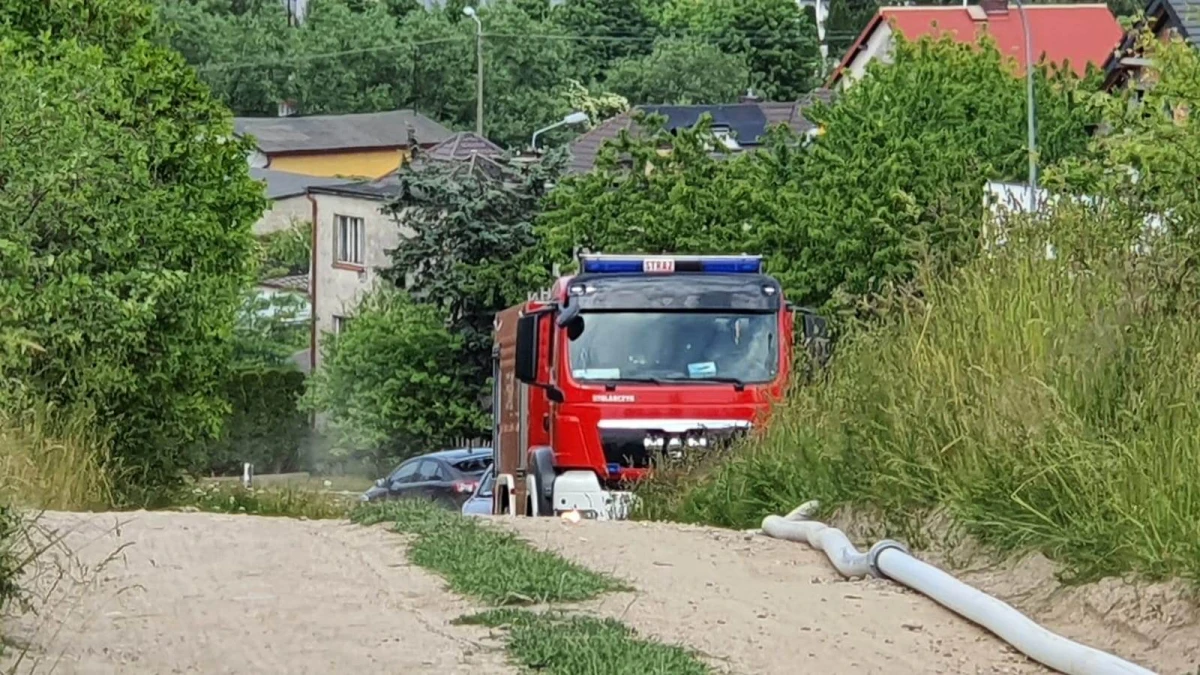 Zdjęcie