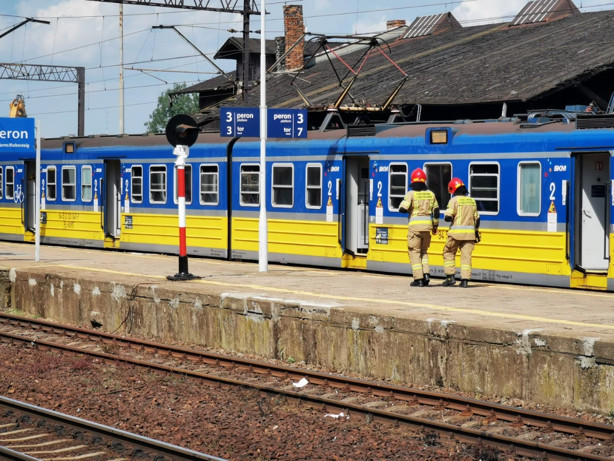 Zdjęcie