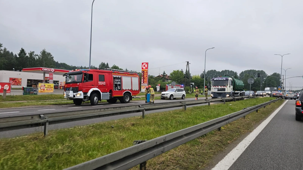 Zdjęcie