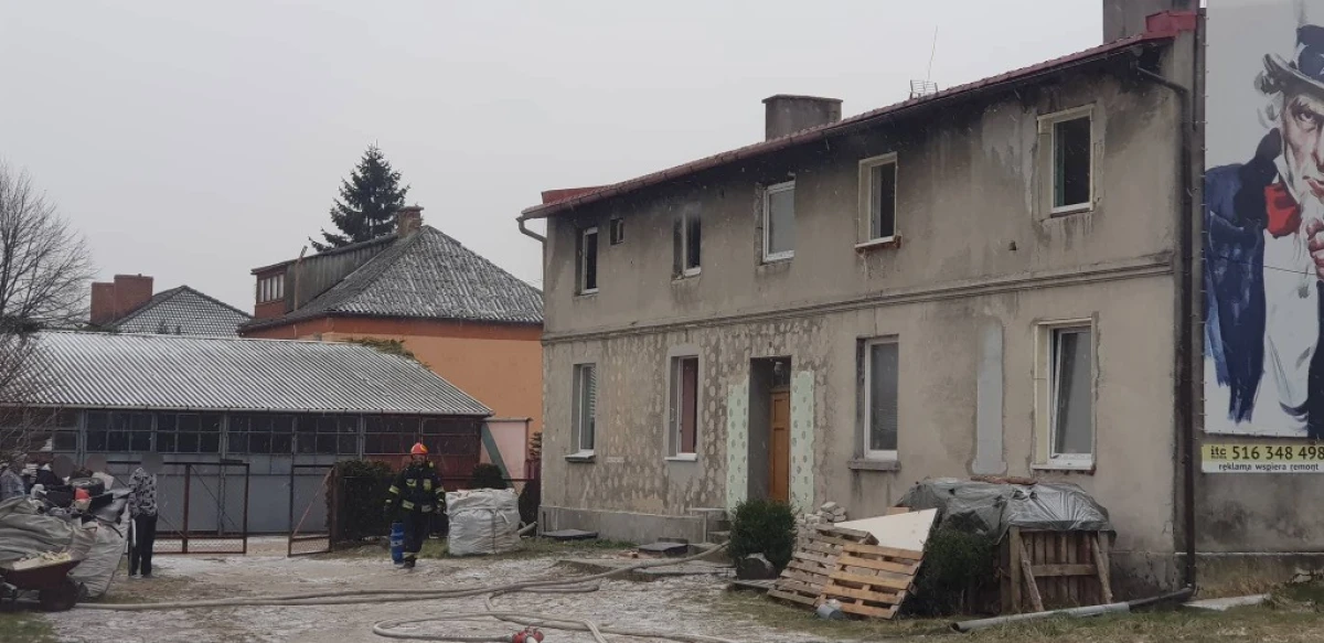 Zdjęcie