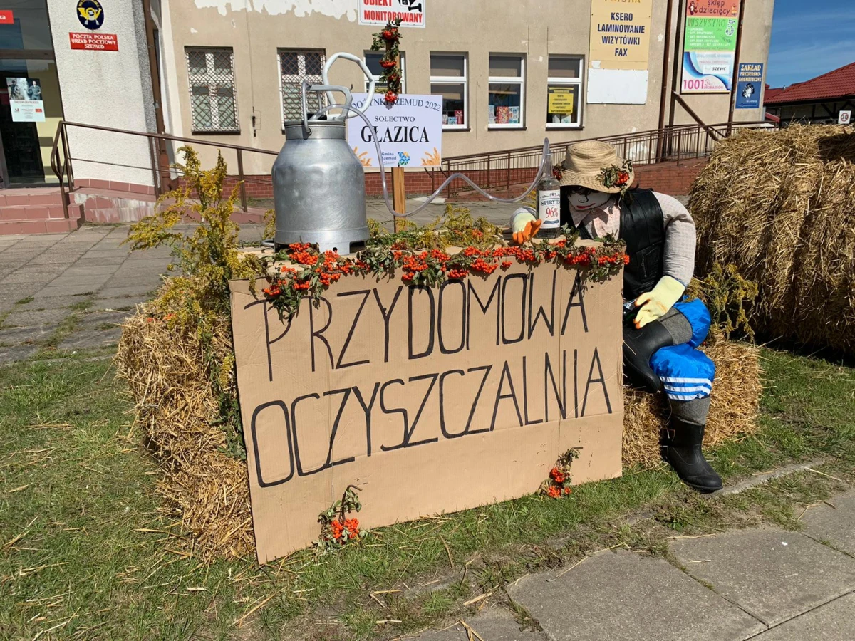 Zdjęcie