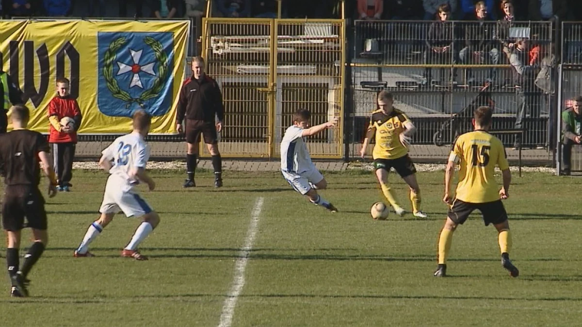 Zdjęcie