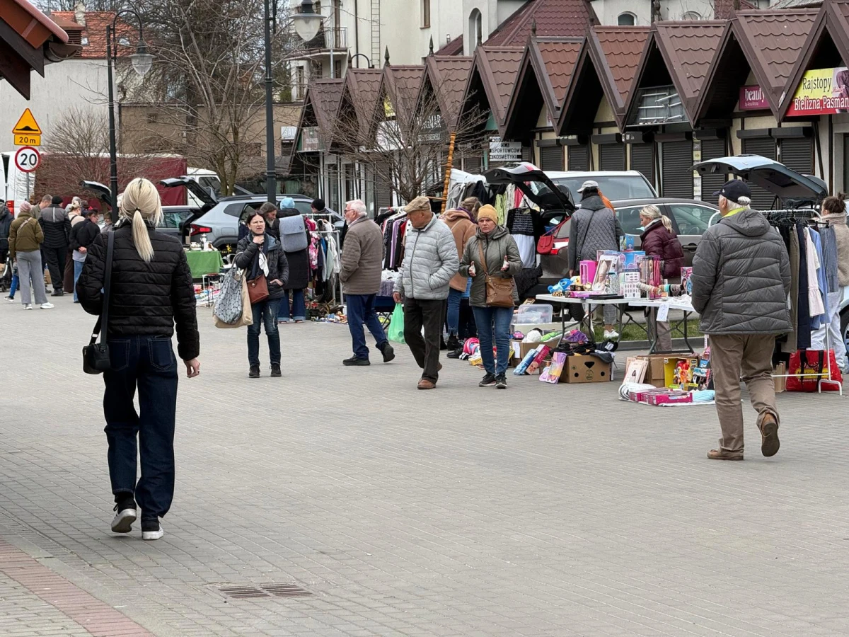 Zdjęcie