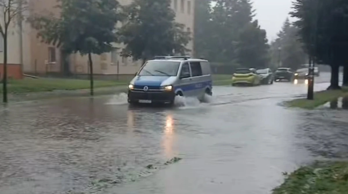 Zdjęcie