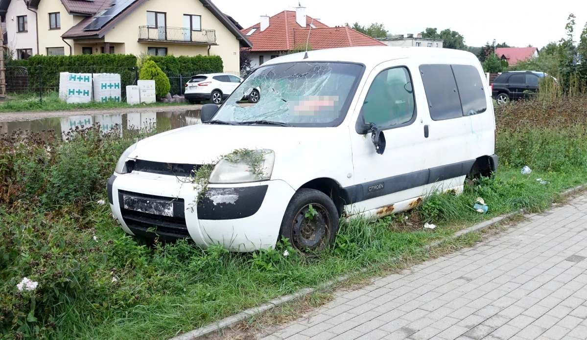 Zdjęcie