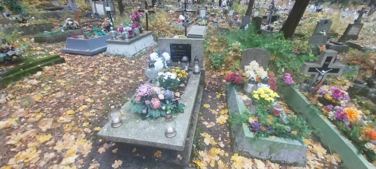 Zdjęcie