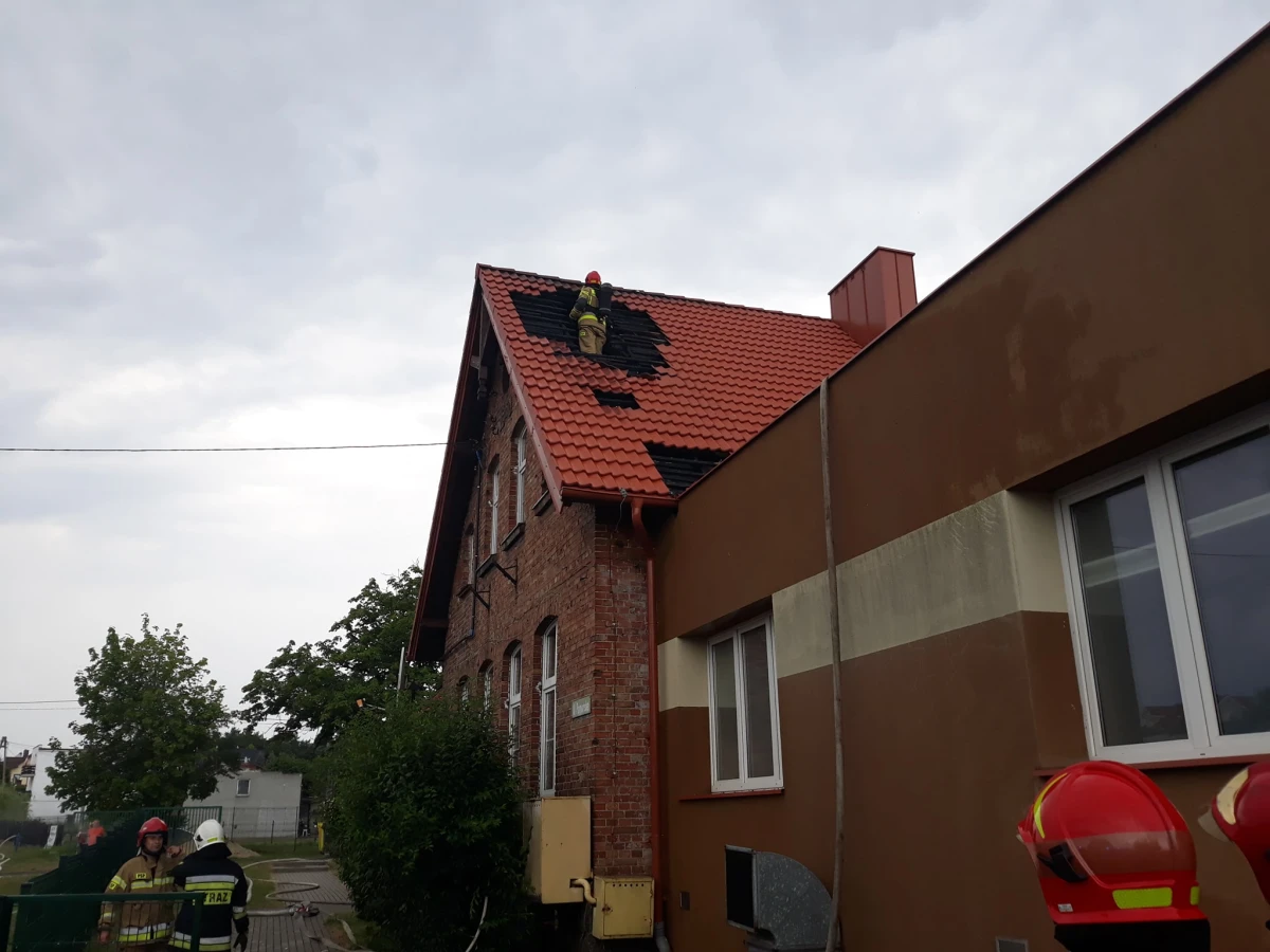 Zdjęcie